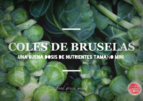 Coles de Bruselas B