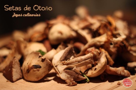 Setas de Otoño