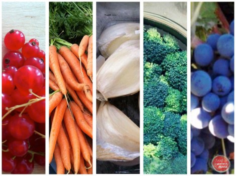 colores en la comida