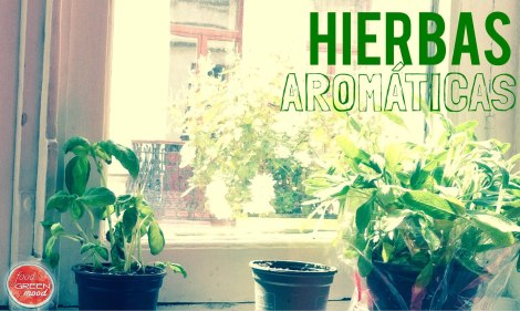 hierbas aromaticas