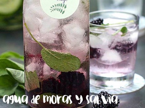 agua de moras y salvia