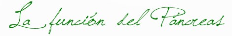 funcionpancreas