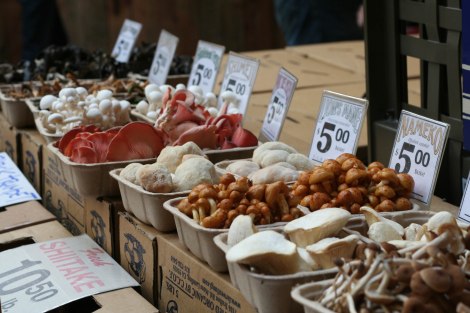 champiñones y setas jesus_porras_montesinos