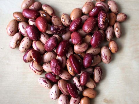 Alubias pintas. Foto de Mary León para Food Green Mood.