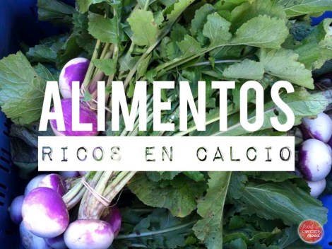 Alimentos ricos en calcio