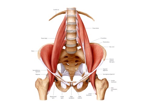 psoas iliaco