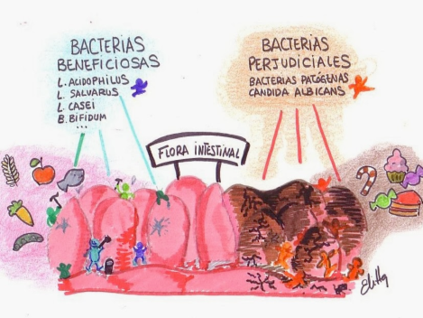 bacterias intestinales